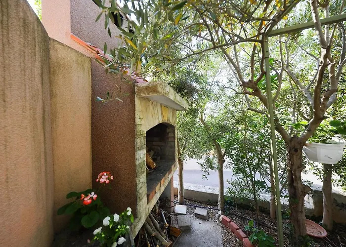 Ana بيتريتْشاني