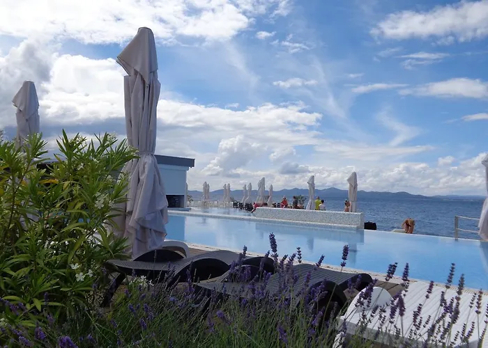 Ana Петрчане