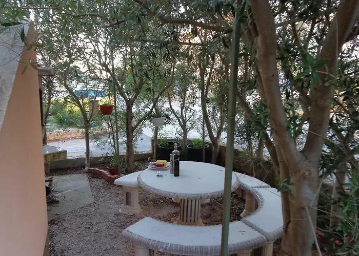 Ana * Петрчане